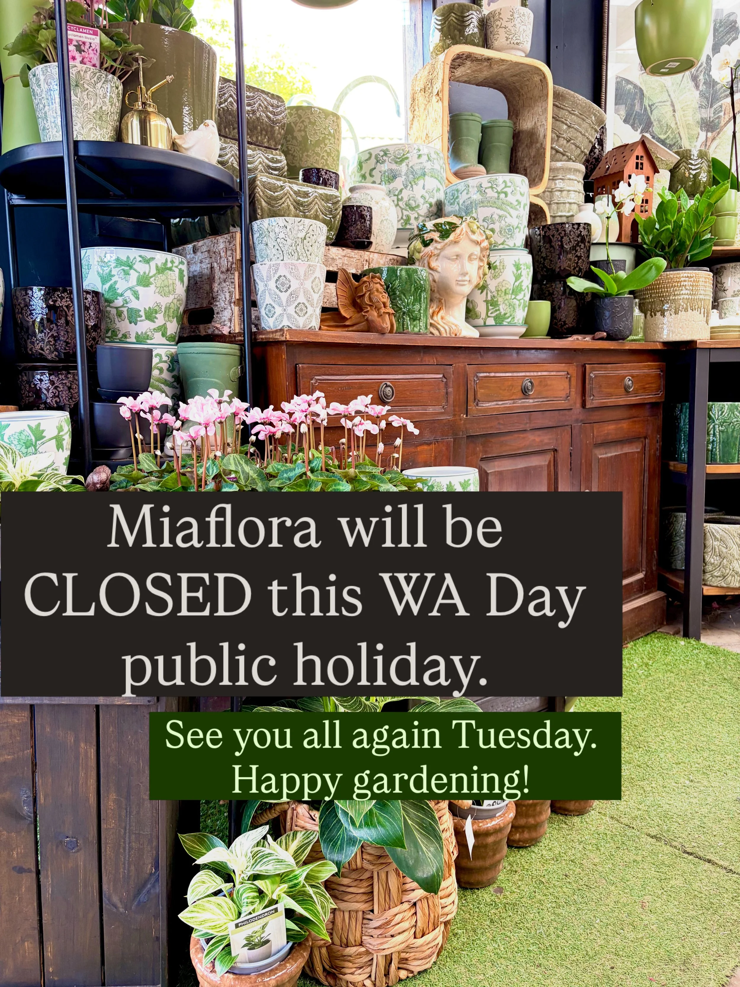 Closed this WA Day Public Holiday for so our staff can spend some much deserved time with family. See you all again Tuesday for all your gardening needs 🌱🪴🌿