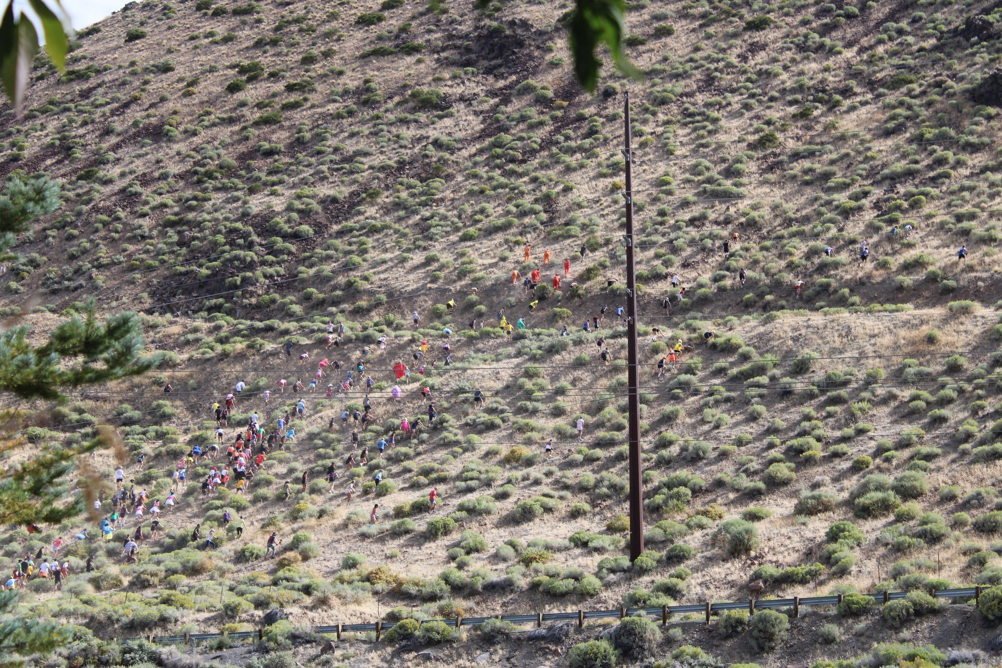 Race photos have been uploaded to our FB page photo albumns. over 300 runners and more than $20K raised for the Nevada Diabetes Association Nevada Diabetes Association  #renorunning #botr @battleoftherattle5k
