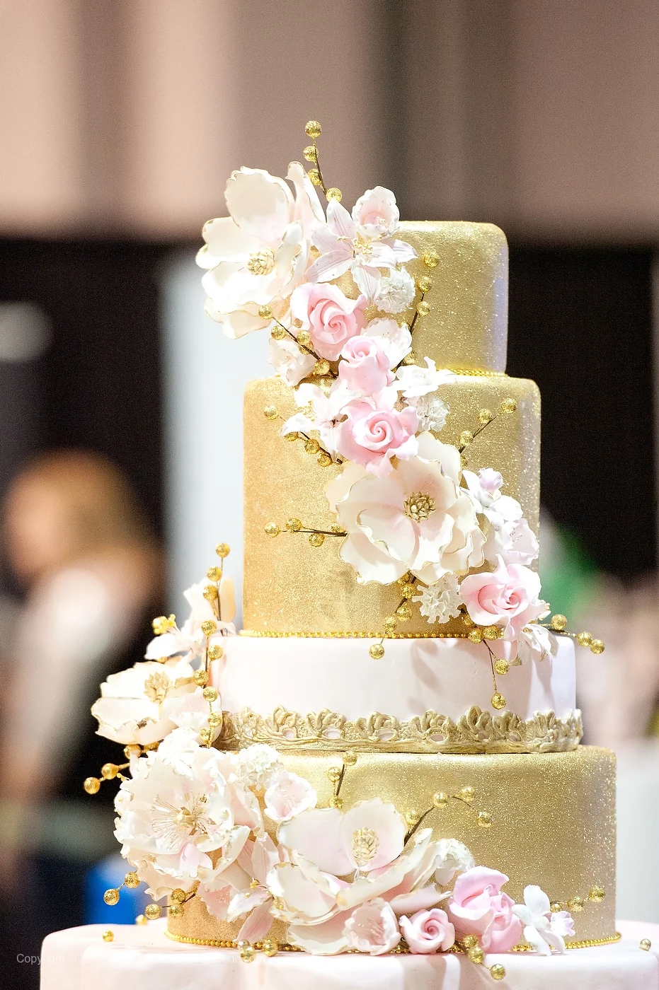 charlottencbridalshow.jpg