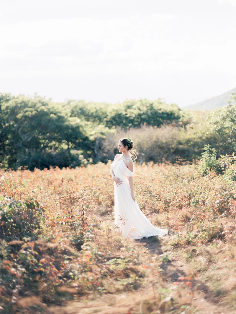 grecian-inspired-bridals-asheville-north-carolina-13.jpg