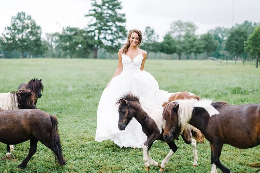 Southern Protocol Bridal