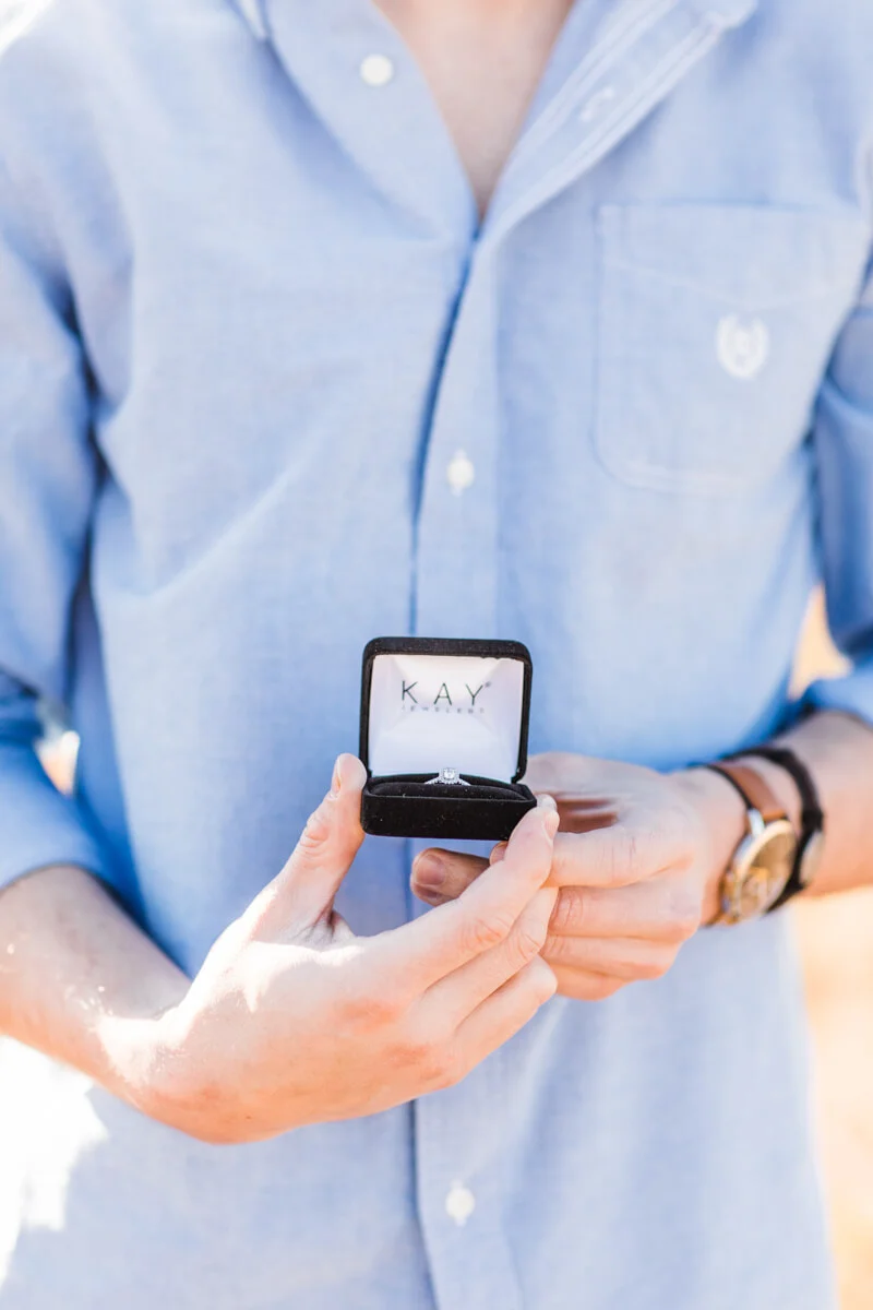 surprise-proposal-in-raleigh-north-carolina.jpg