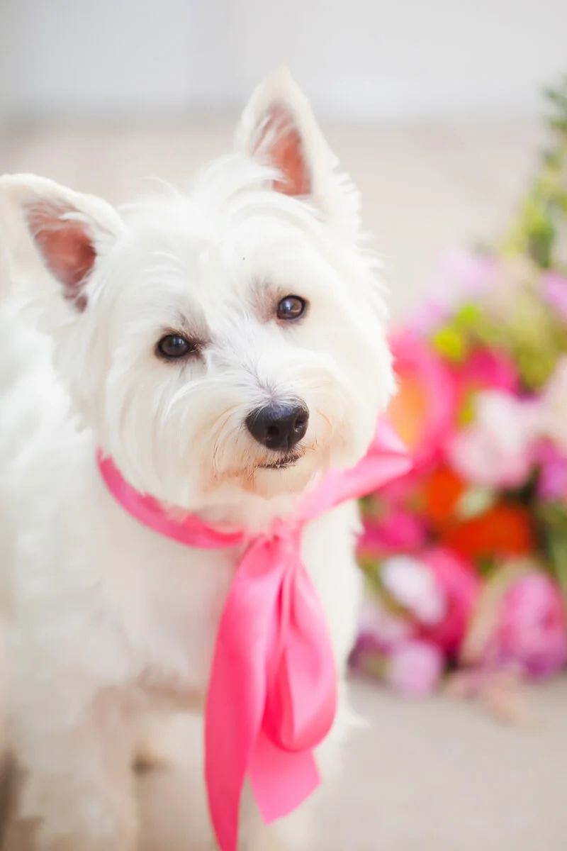 kate-spade-wedding-shoot-charlotte-nc-15.jpg