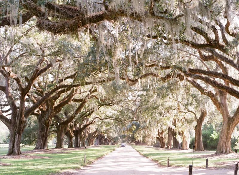fall-charleston-sc-wedding-9.jpg
