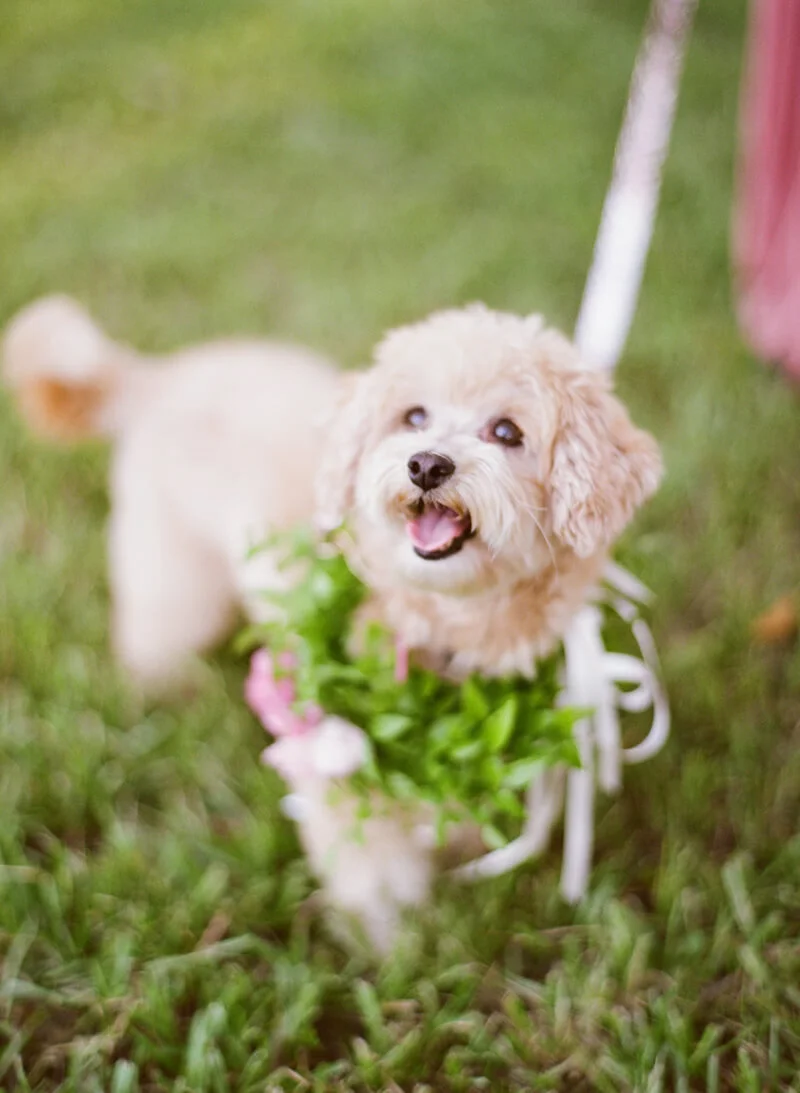 fall-charleston-sc-wedding-21.jpg