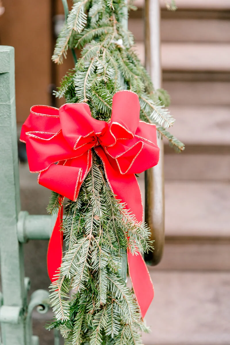 christmas-charleston-engagement-photos-6.jpg