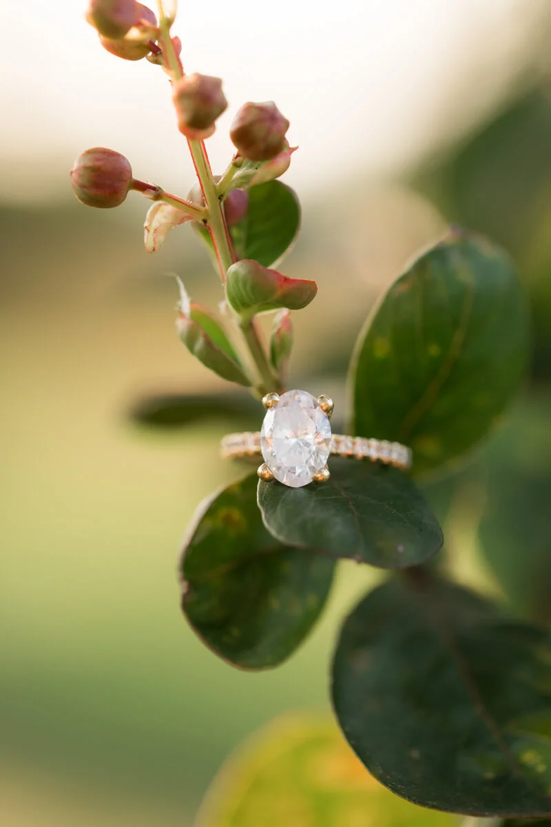 inman-sc-engagement-photos-7.jpg