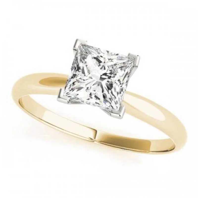 coastal-proposal-19.jpg