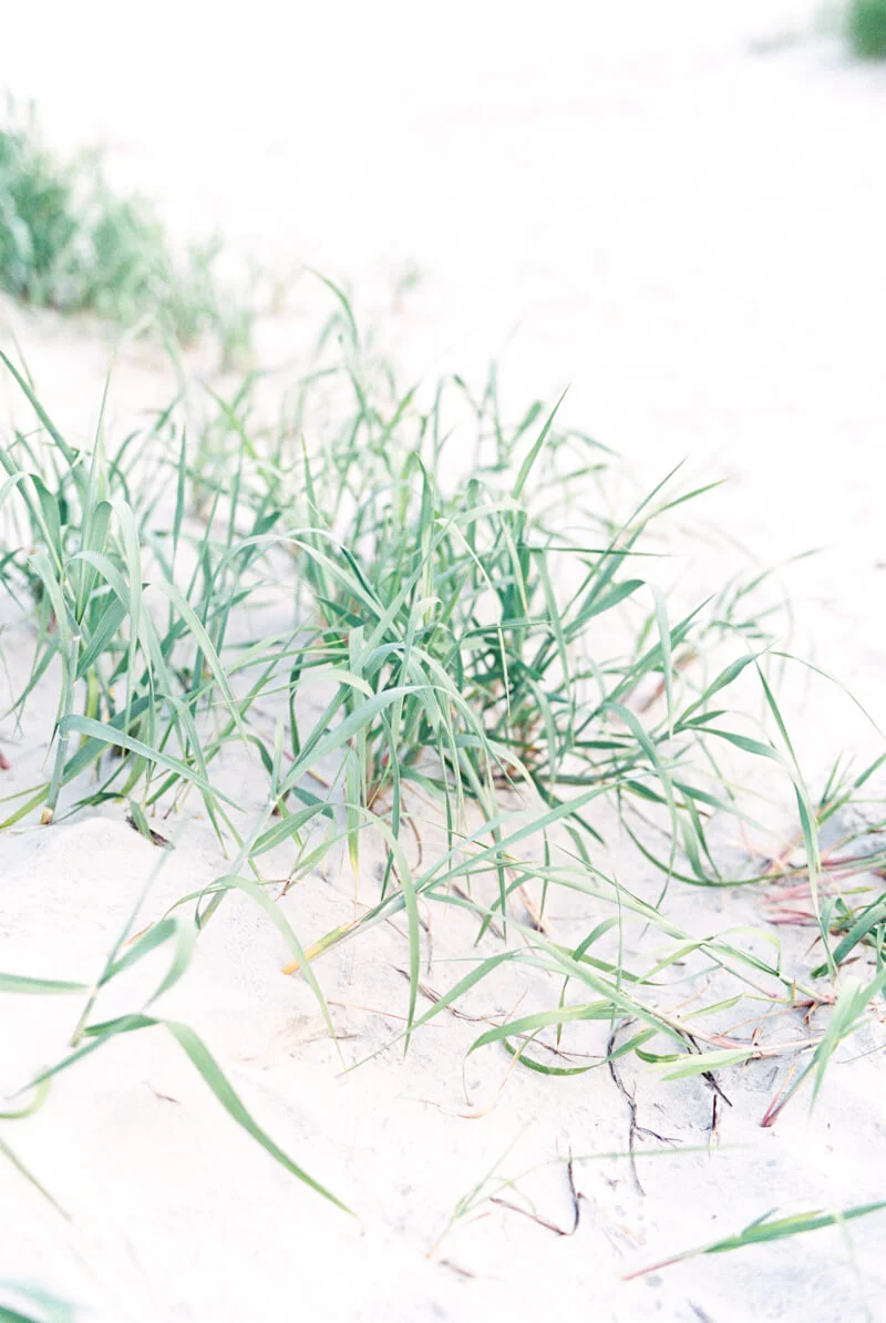 sullivan-island-sc-engagement-photos-13.jpg