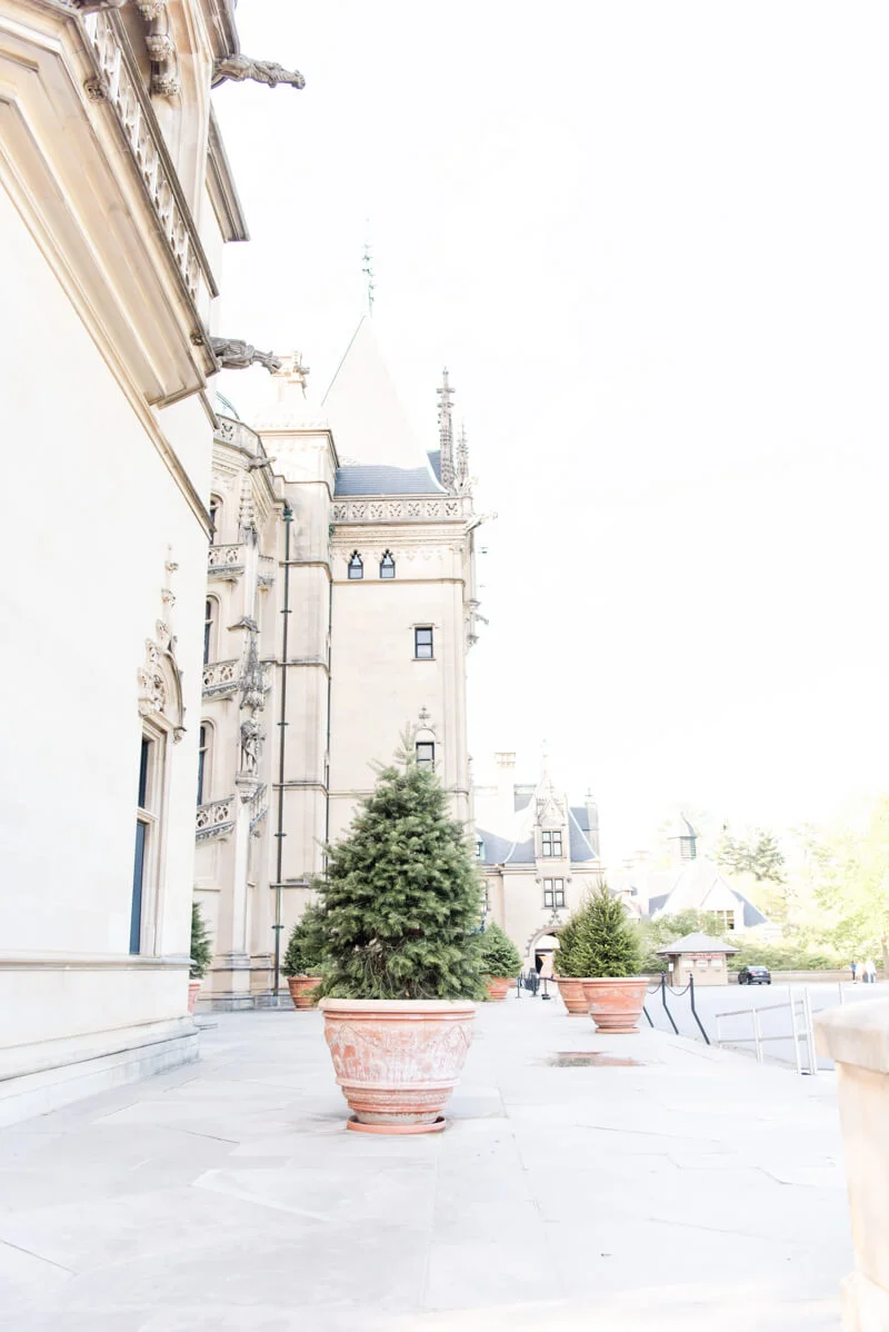 biltmore-estate-engagement-asheville-nc-16.jpg