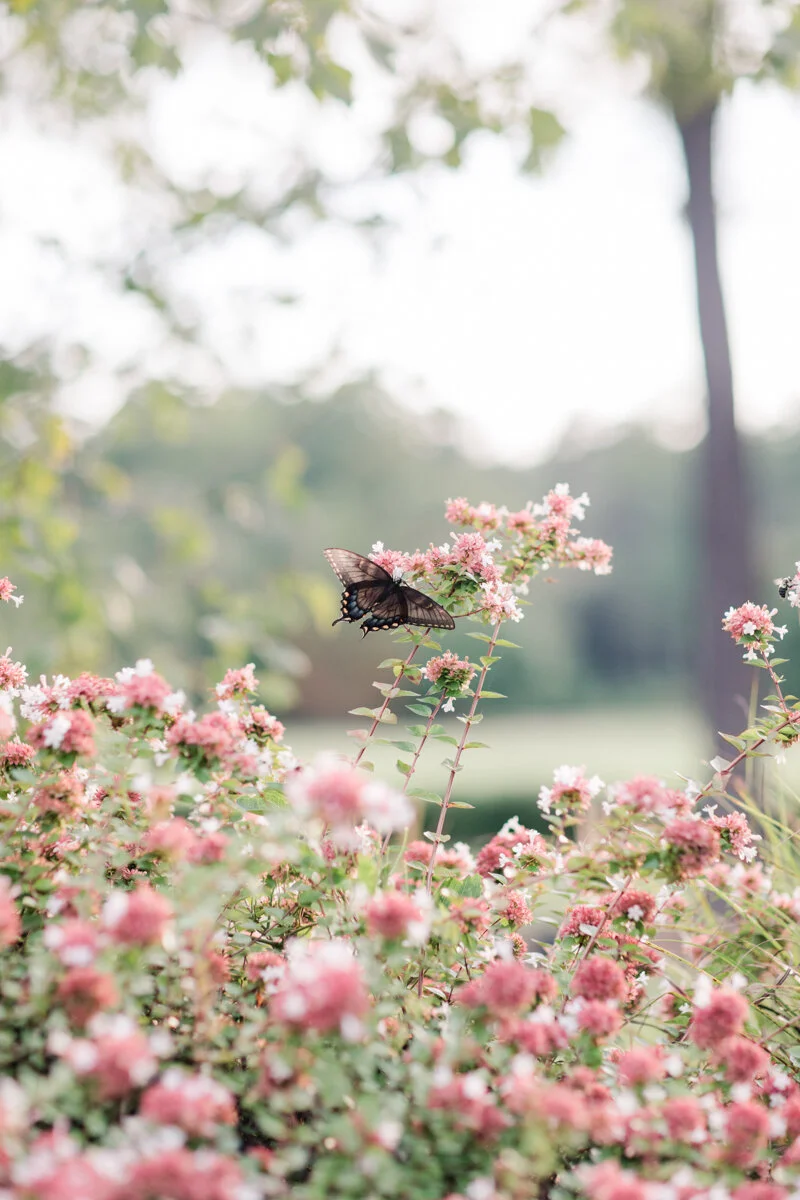 pinehurst-nc-arboretum-wedding_-21.jpg
