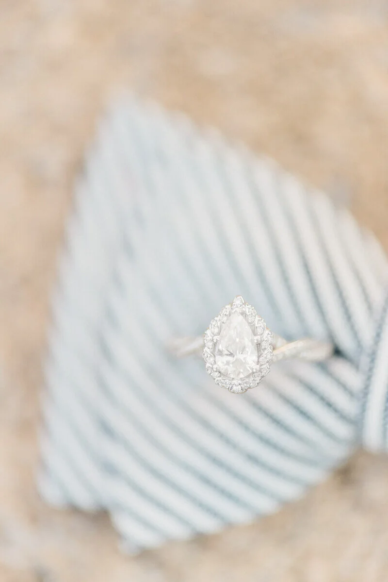 pelzer-sc-engagement-7.jpg