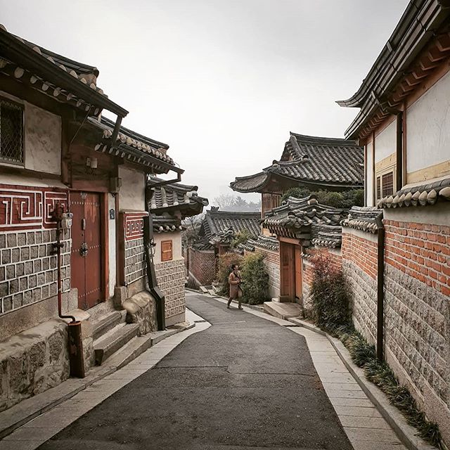 &bull; wandering through the alleys of seoul. &bull;
&bull;
&bull;
&bull;
&bull;
&bull;
#korean_adventure #seoul #seoullovers #seoulmate #seoultrip #seoultravel #seoultour #travel_seoul #seoulstyle #seoulgarden #seoulsecret #outthere #seoulsearching 