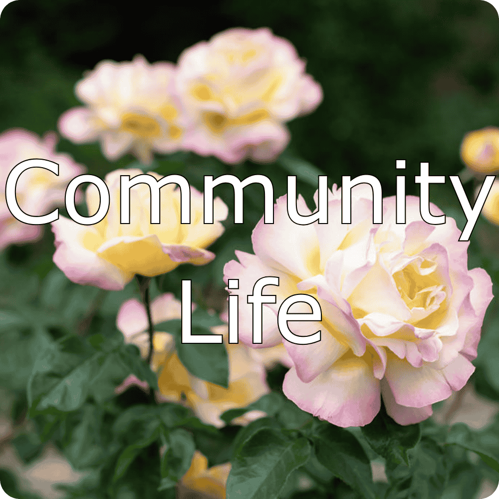 Community life