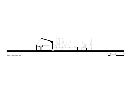 archaic_nicolas campodonico3