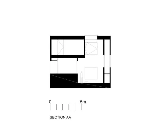 poli11