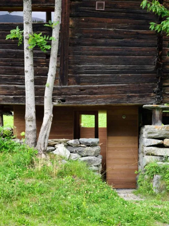 archaic_RapinSaizArchitectes_RaccardDeMontagne1-544x725.jpeg