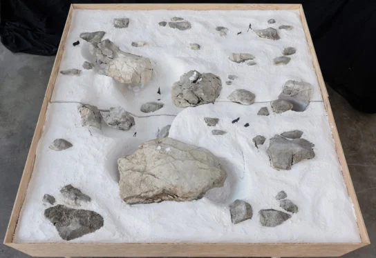 archaic_jonas-virsik_anothernature16-544x374.jpeg