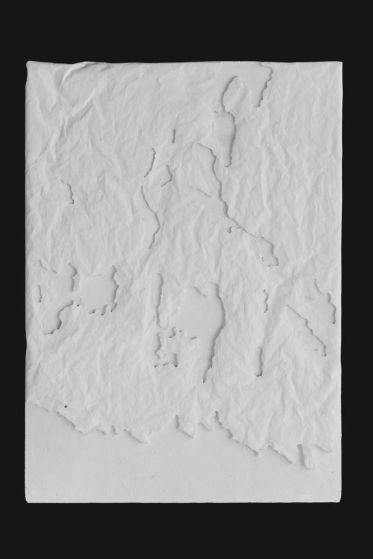 archaic_jonas-virsik_anothernature3-544x815.jpeg