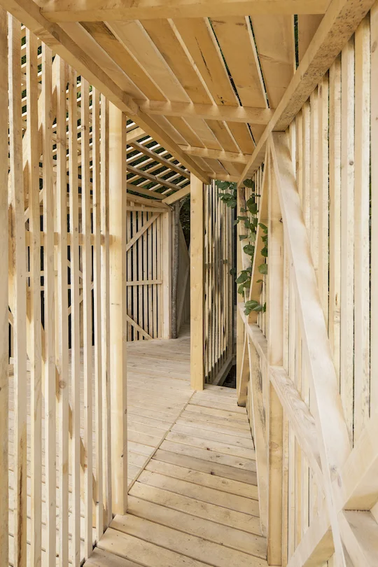 archaic_InternationalWoodWorkshop_17.jpg