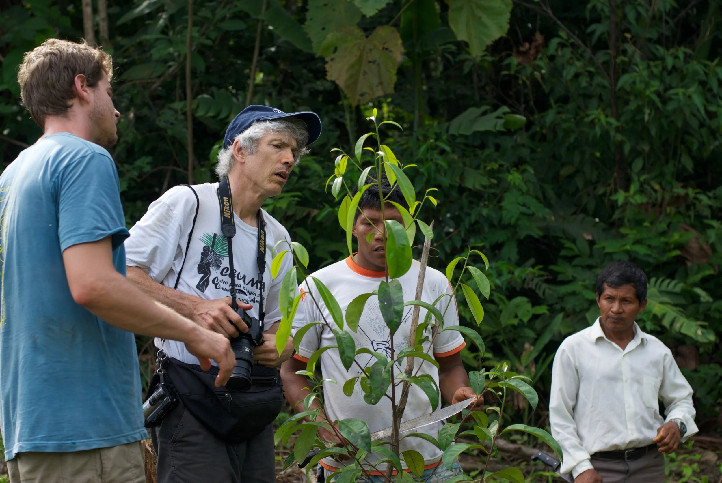 The author (left), Campbell Plowden of CACE, and rosewood farmers of Ampiyacu, Loreto, Peru looking at a young rosewood seedling in 2014, part of Camino Verde's planting efforts there. Photo thanks to Andrew Schwarz