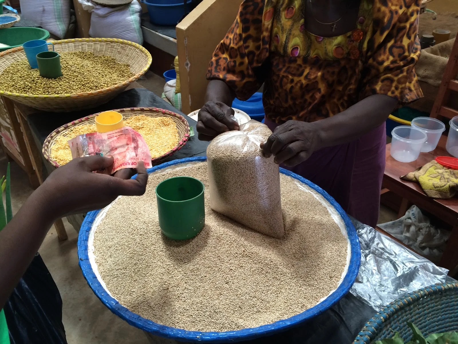 Polycultures are good for the market crop farmer. Here we see millet, pigeon pea, and beans, which may have all come from a single field.
