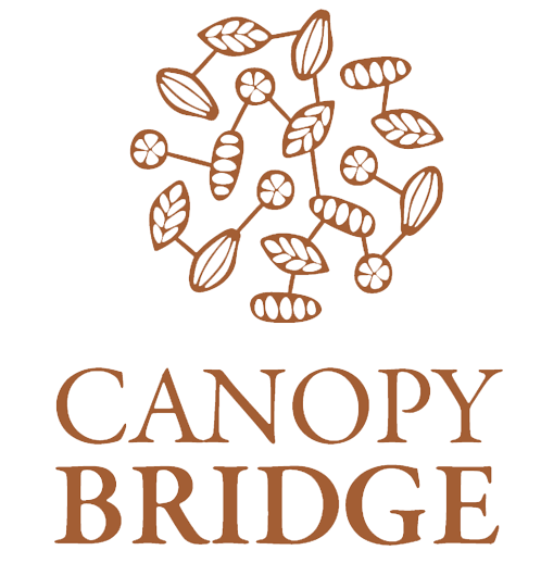 Logo - Canopy Bridge Transparente.png