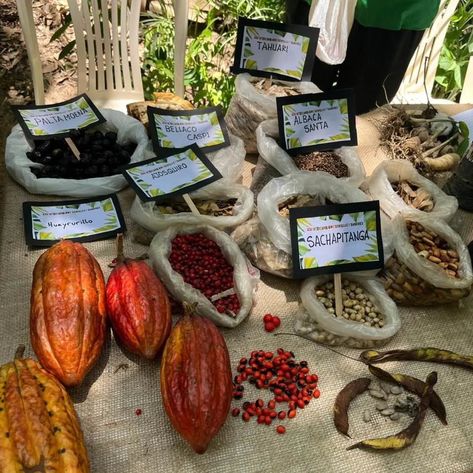 The seeds bring us together.

We were proud and honored to come out for the 21st Annual Fair for Seeds and Knowledge Exchange, hosted by our dear partner organization, Asociaci&oacute;n de Agricultura Ecol&oacute;gica.

Thanks to all the seed savers 