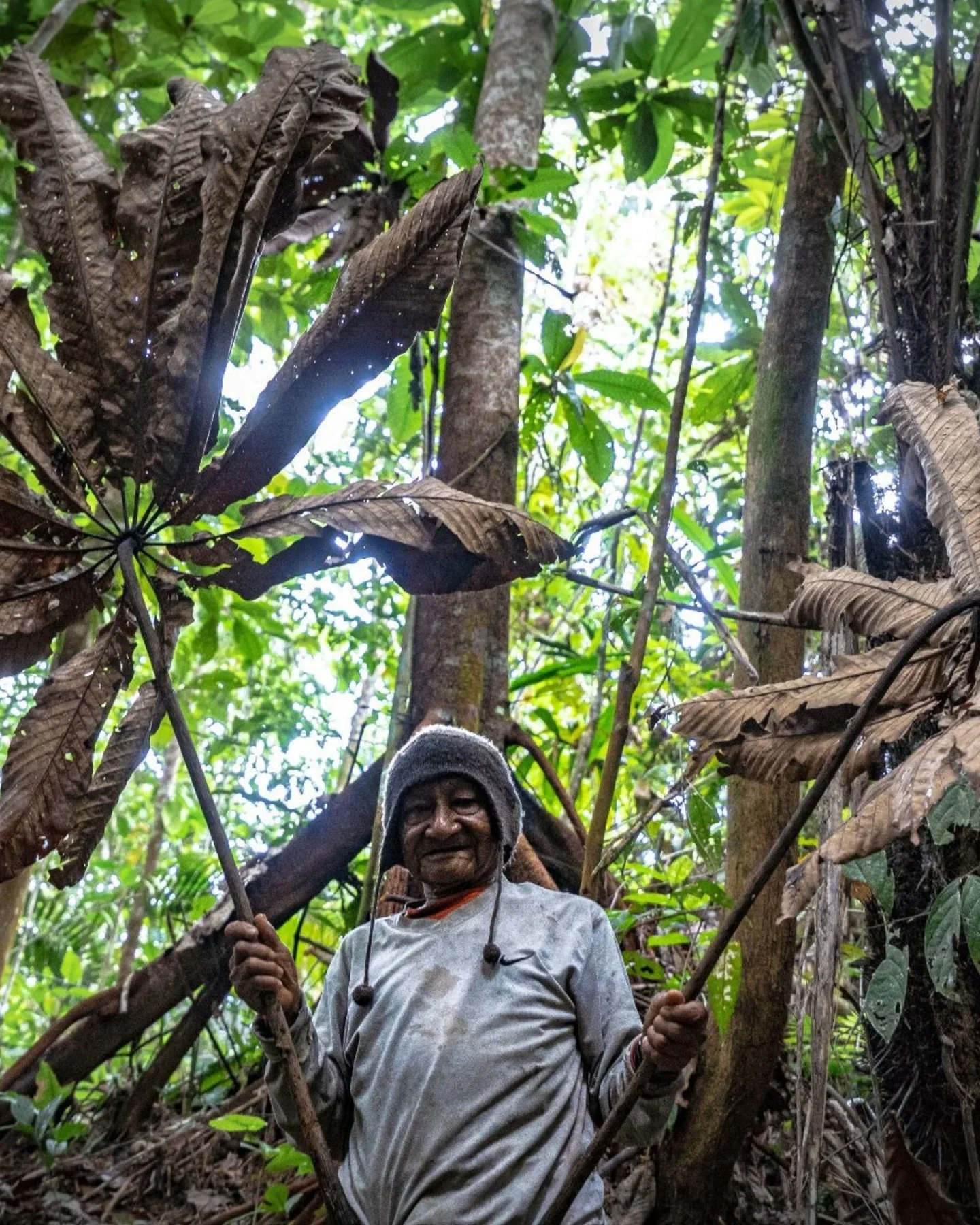 Today, we celebrate and honor the Indigenous peoples of the Peruvian Amazon. 
At Camino Verde, we are deeply grateful to collaborate with Indigenous communities whose knowledge, traditions, and relationship with the land inspire so much of what we do