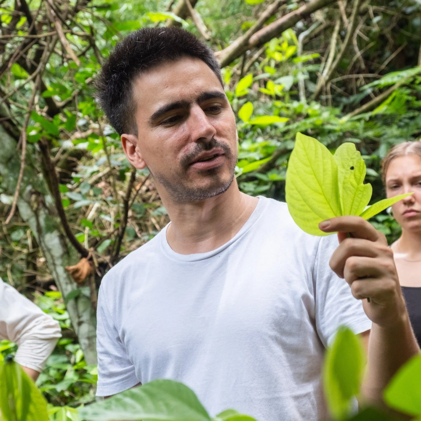 The Language of the Forest.

It speaks in rhythms, relationships, and quiet signals &mdash; if we learn how to listen.

Read more in our latest blog post: caminoverde.org/blog

Link in bio.

Blog post (text and photos) by environmental journalist and