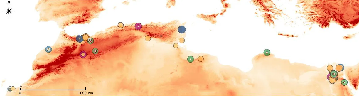 QGIS Elaboration (GL, EC, AP)