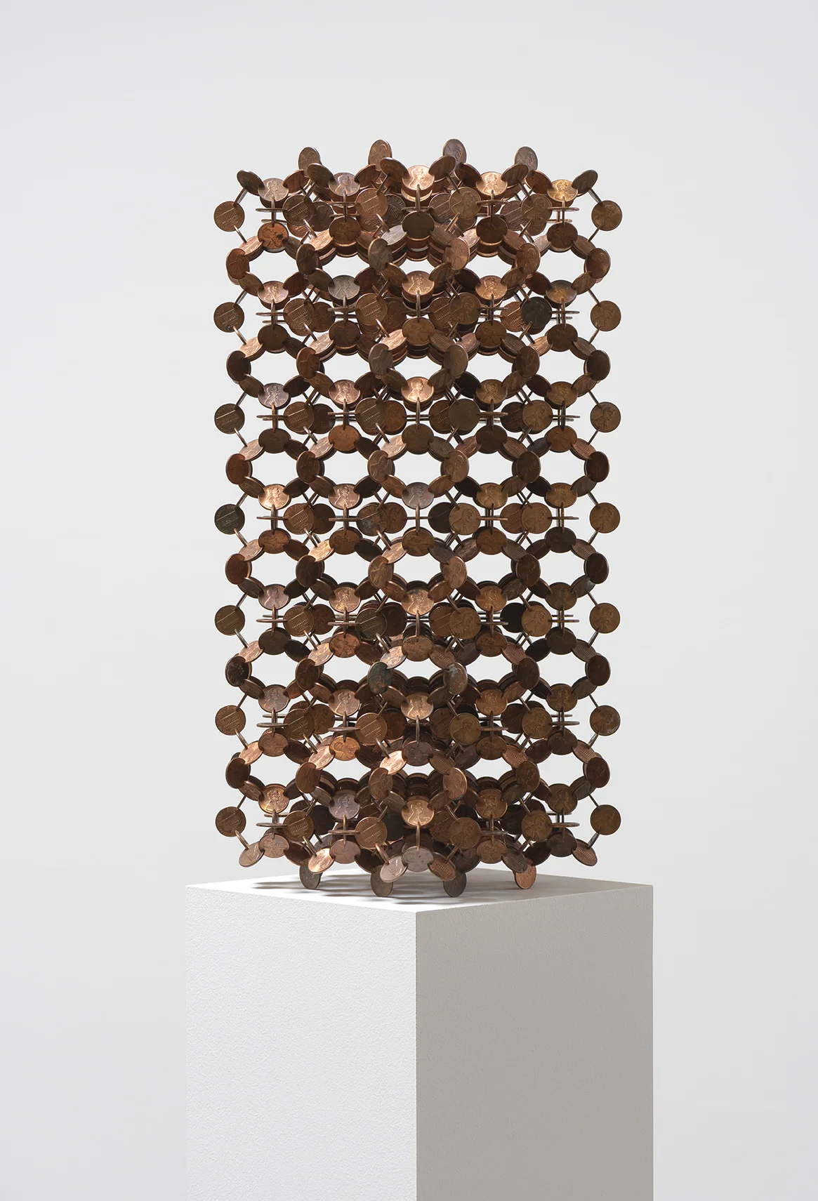 Thicket (2016) - Additional View