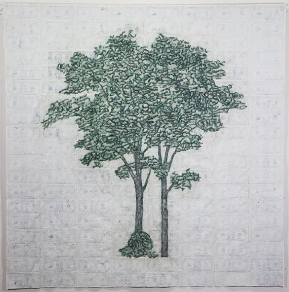ROBIN CLARK