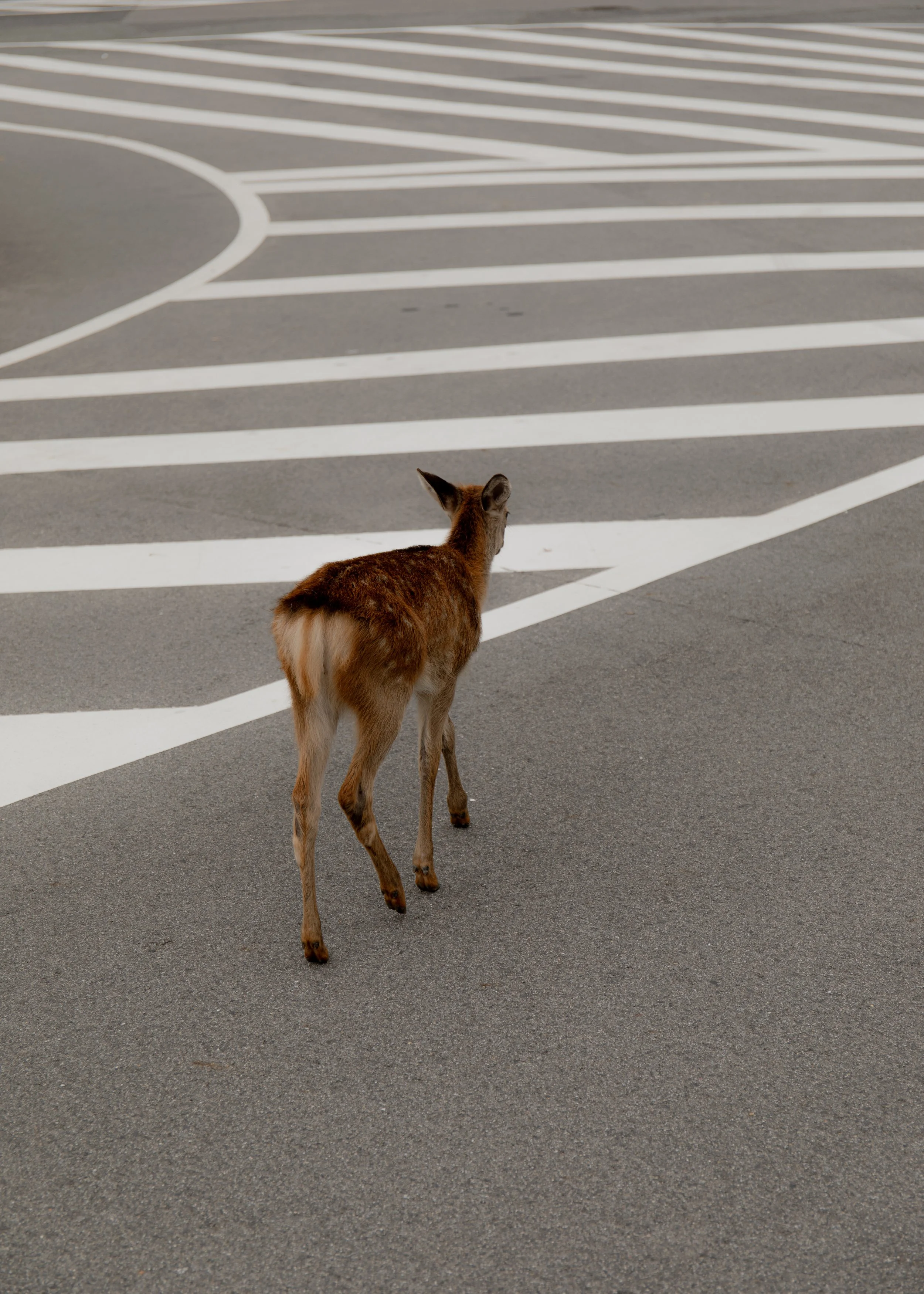 _Japan2024_c_MarieHaefner_142A2300 Kopie.jpg