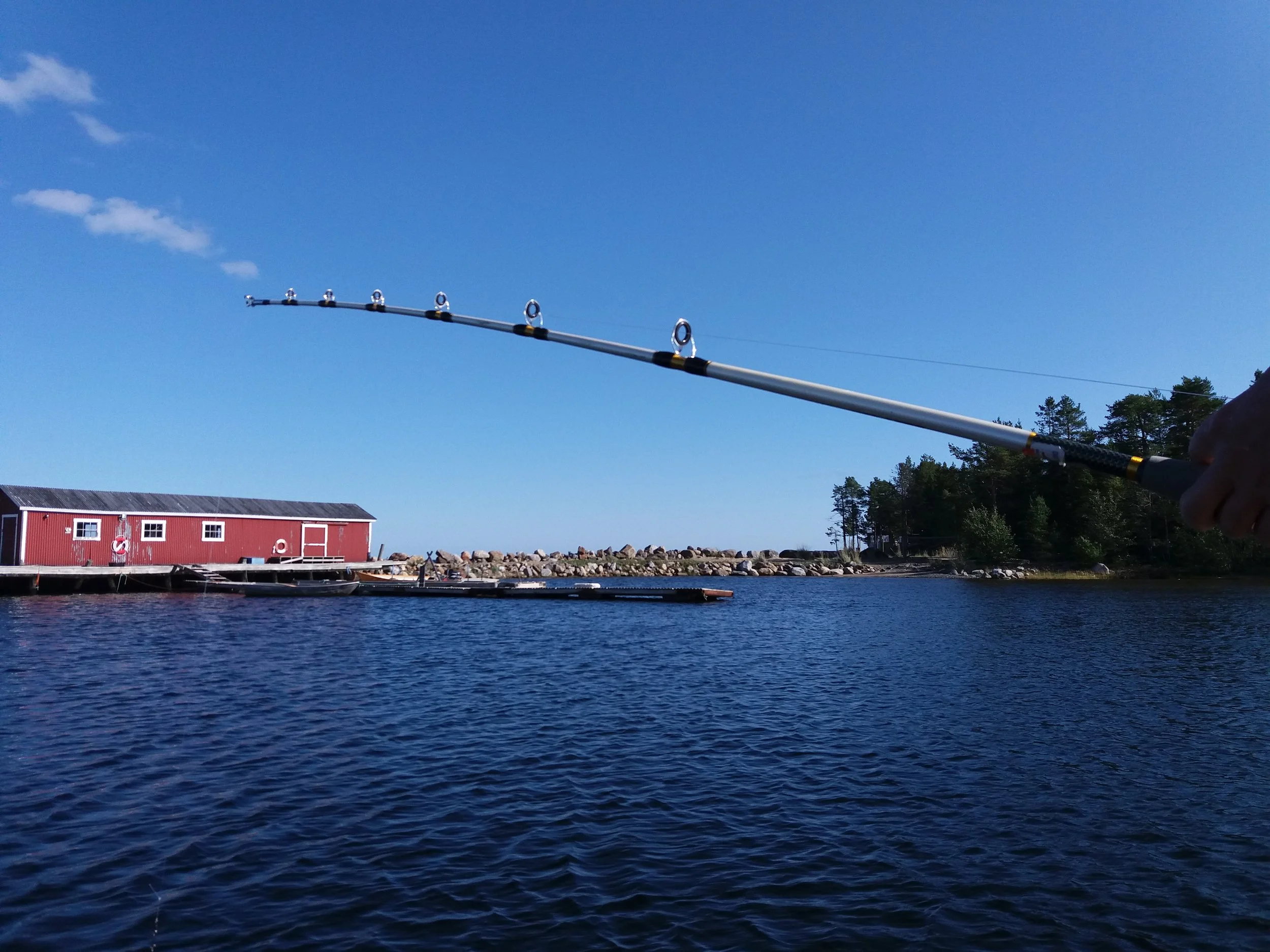 Trout spotting in Lapland
