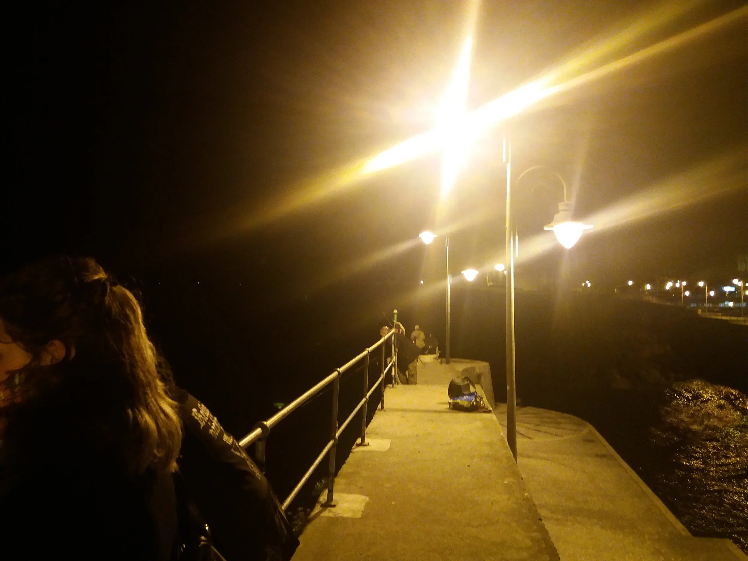 Vegan fishing in Mundaka