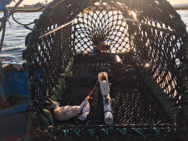 Irish soaktime revisited