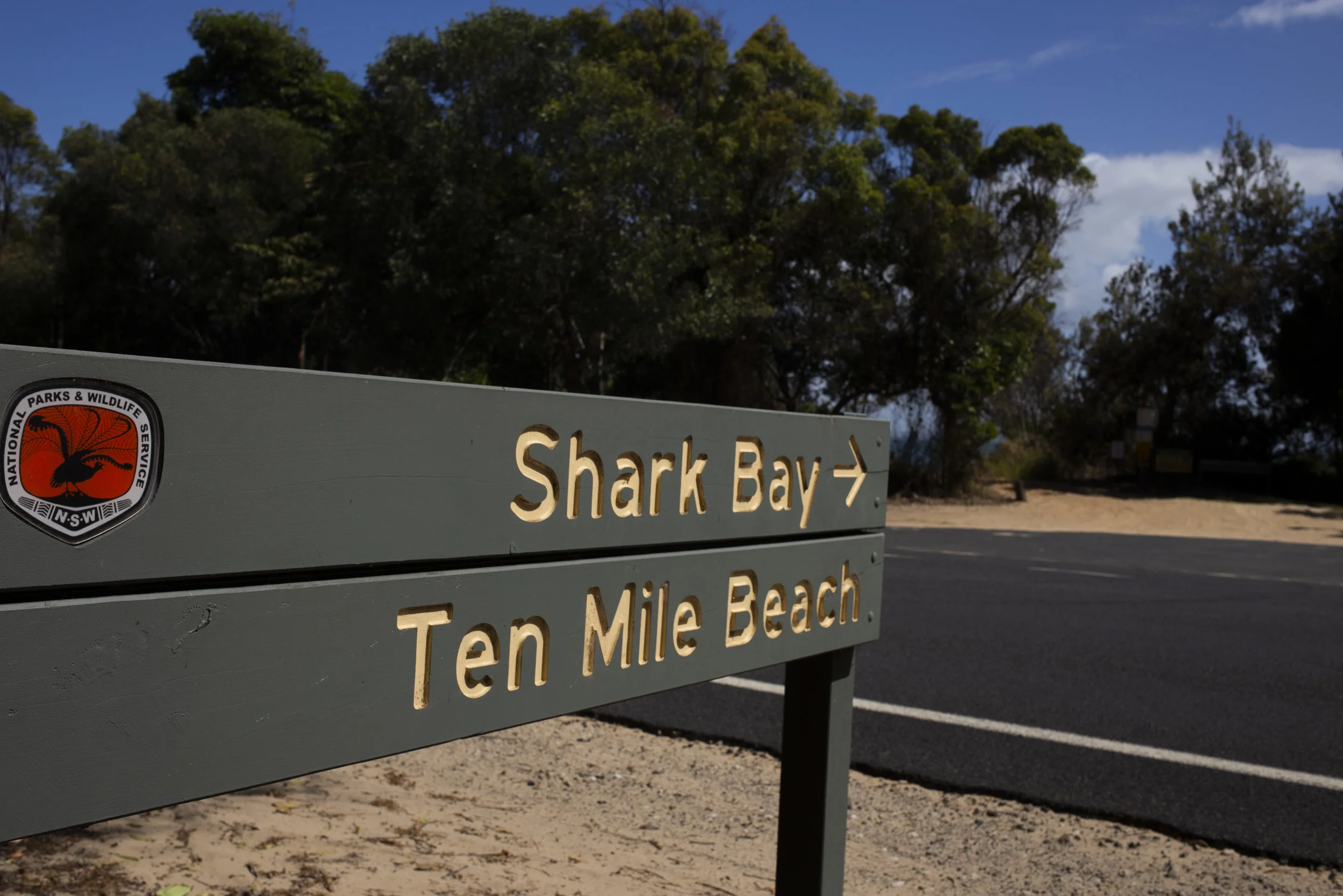 Shark bay