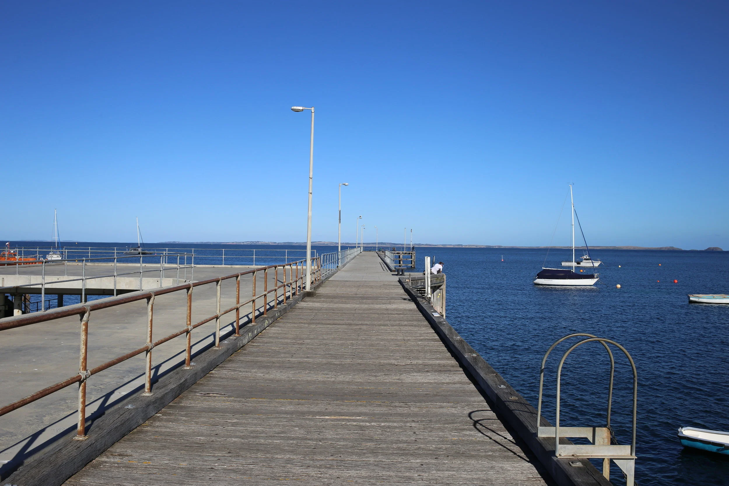 Pierspotting a potbellied seahorse