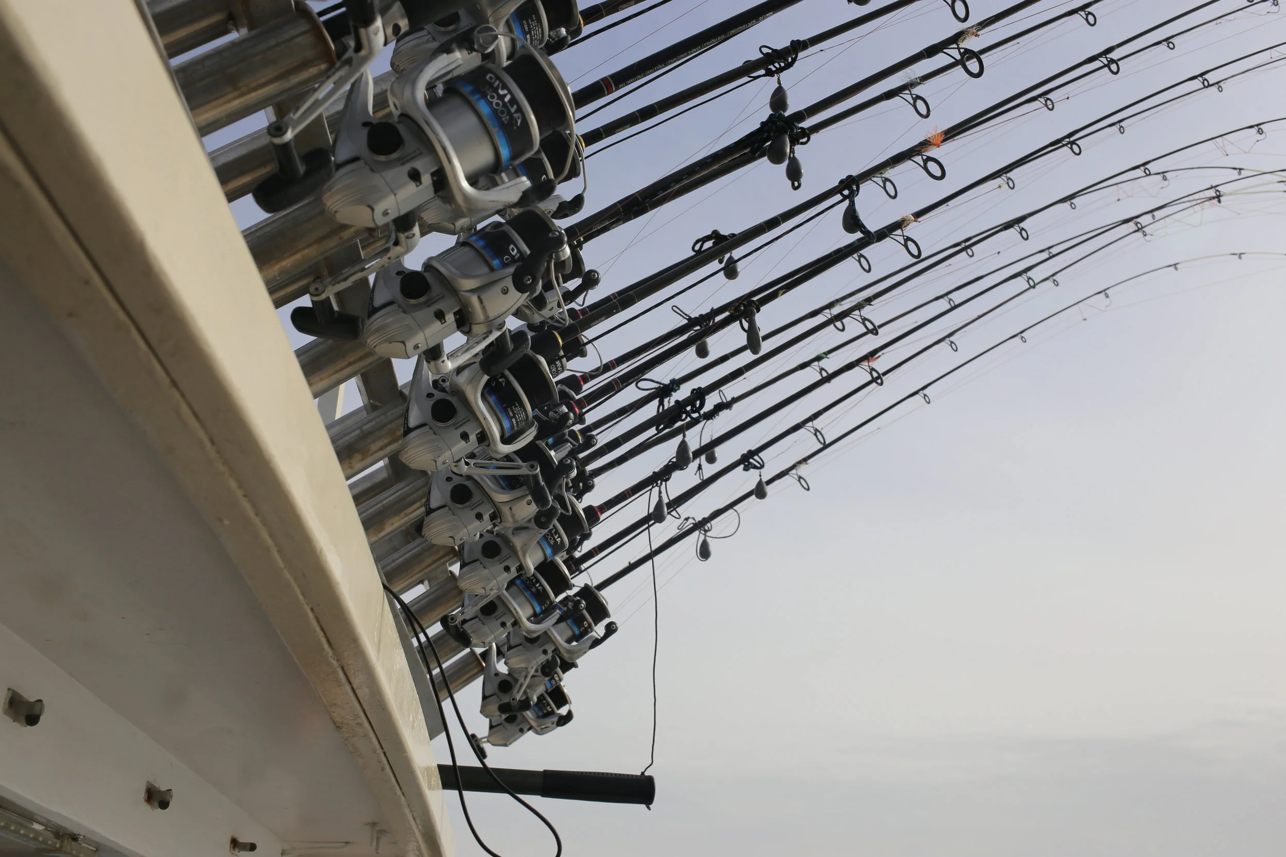 Catch-and-release best practice guidelines