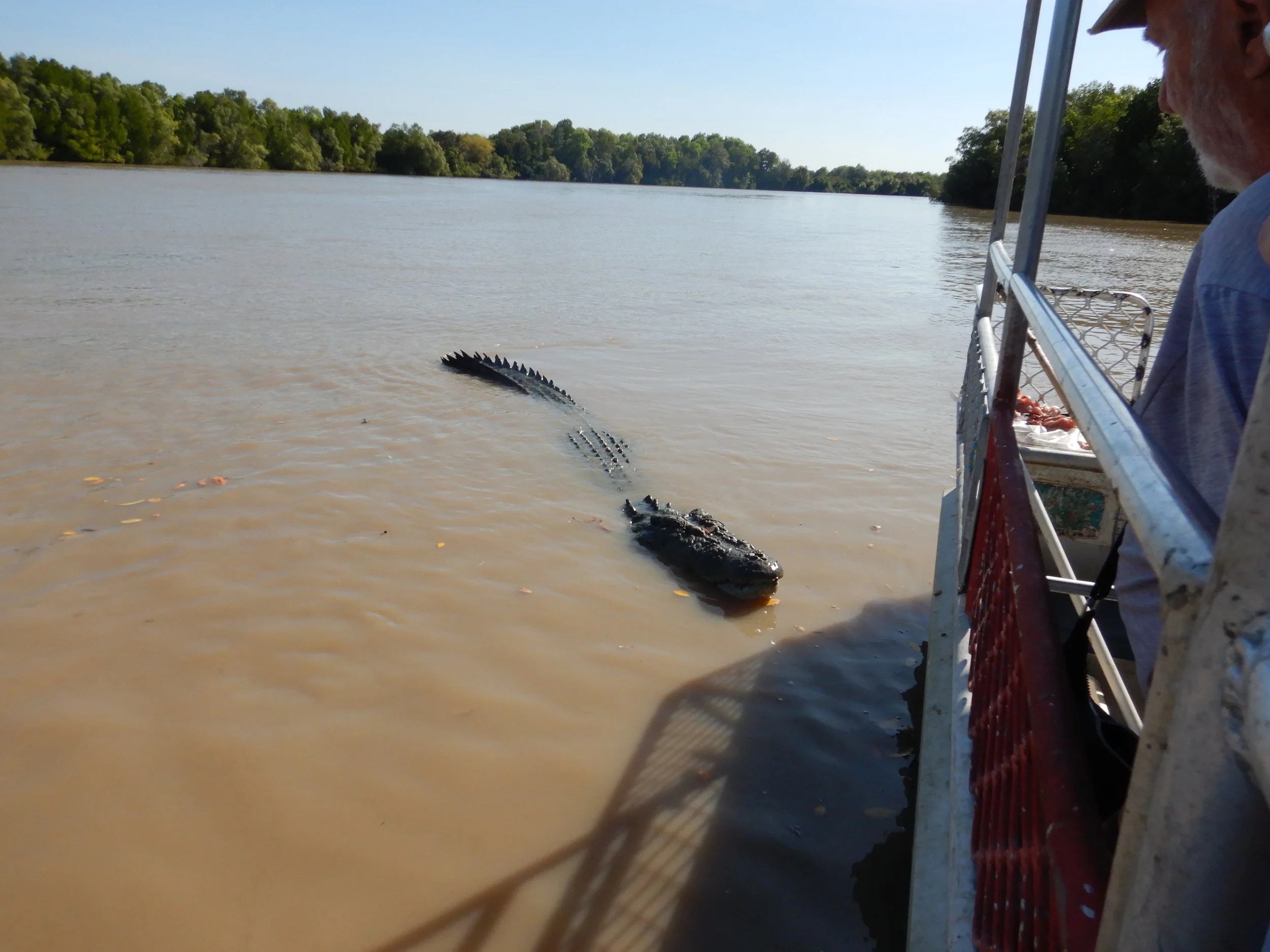 Trophy shots of crocs