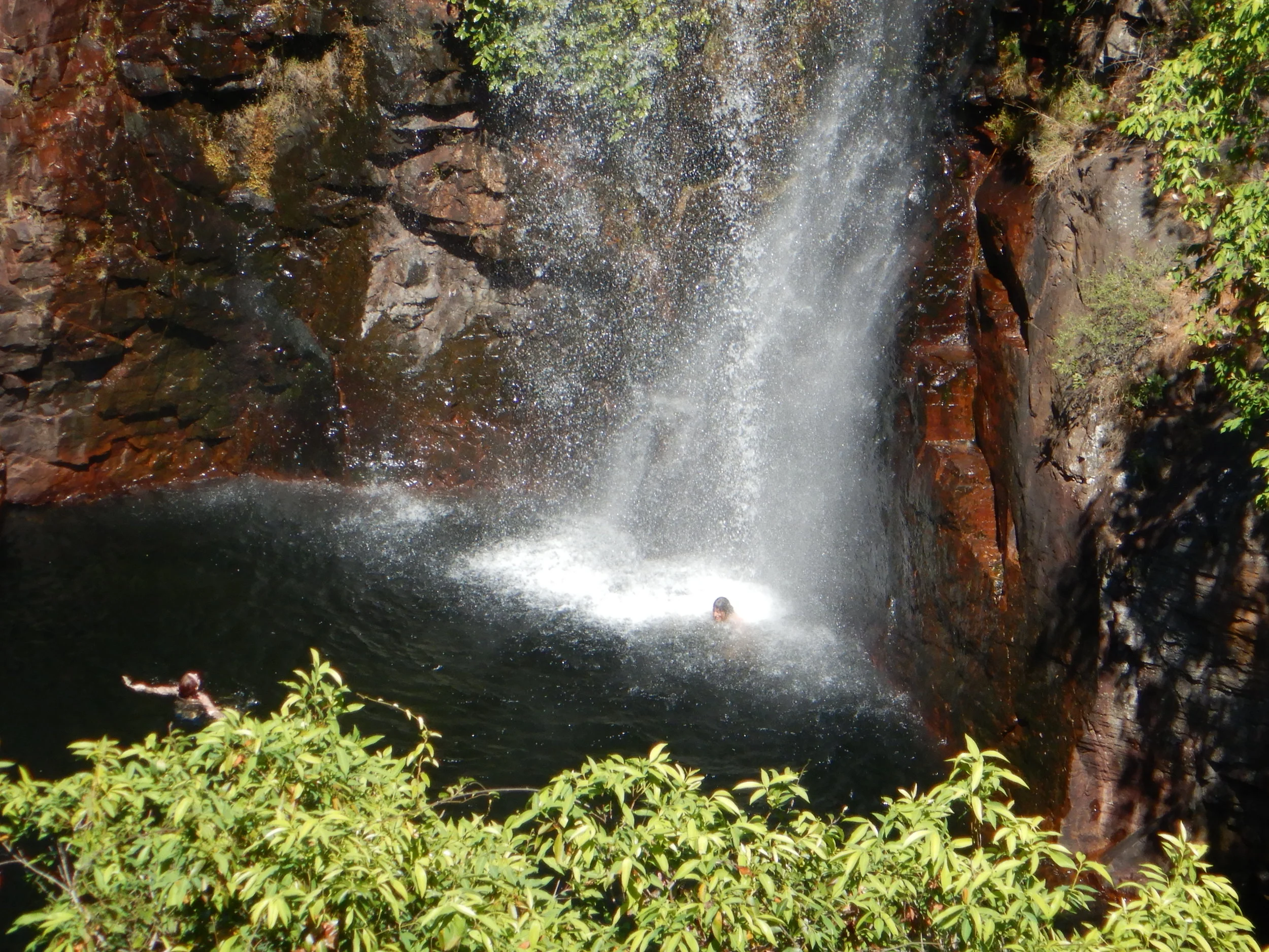 Fish spotting at scenic places