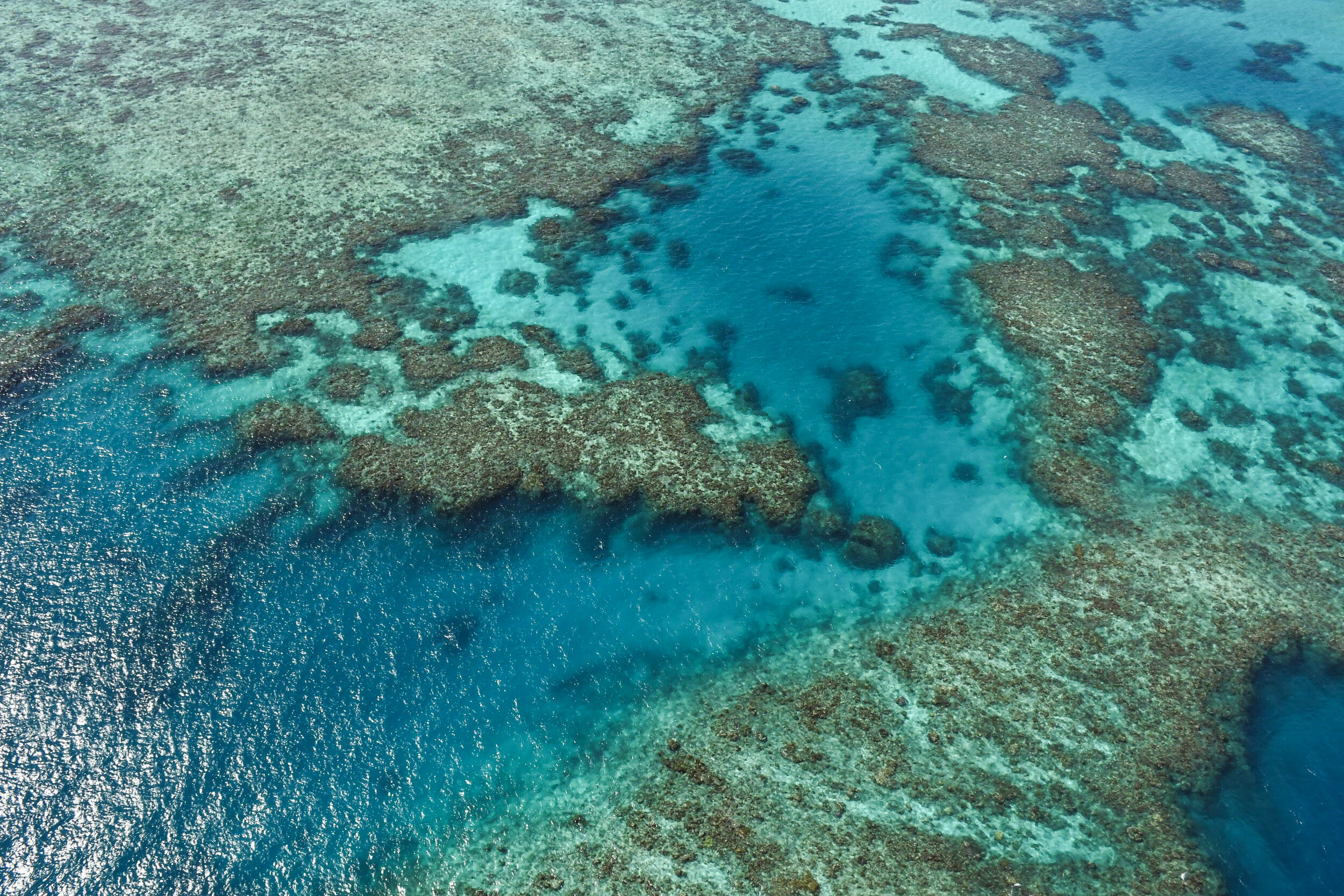 Moore reef.jpg