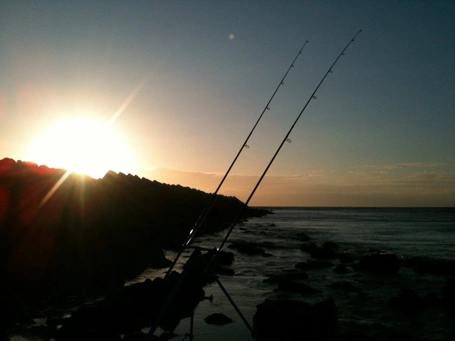 Photo credit: Coenraad Deputter