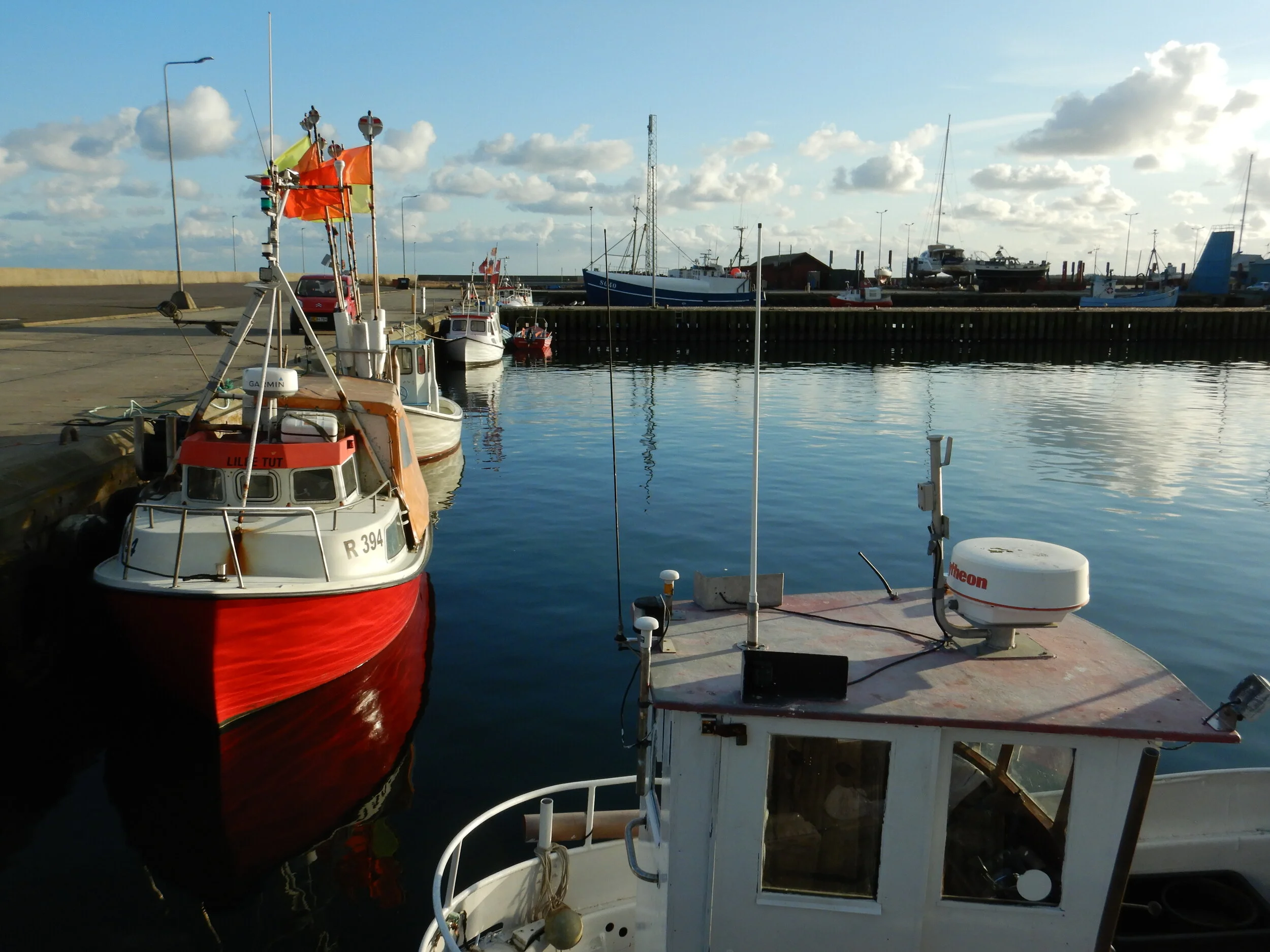 Flat-faced in Denmark