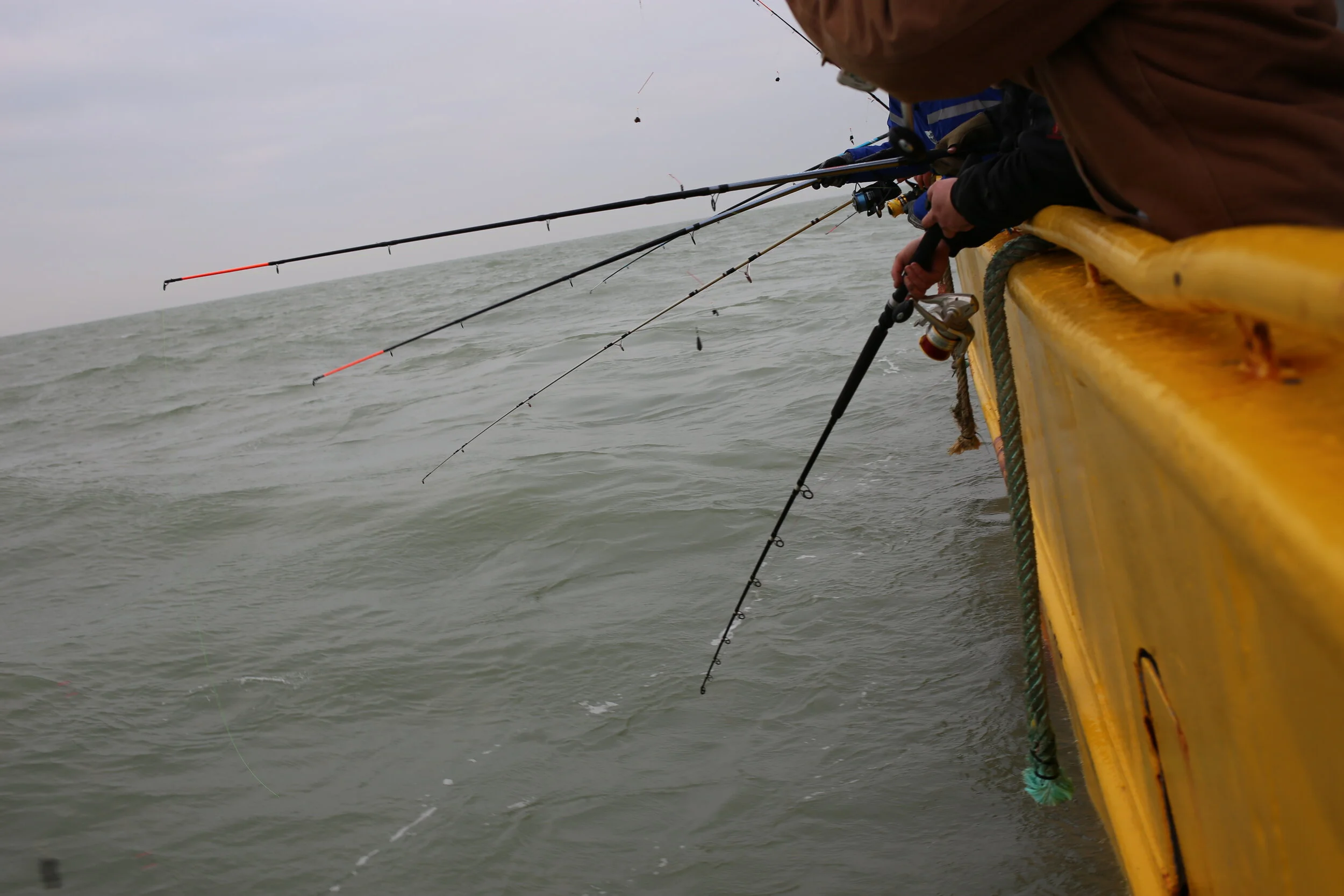 Another science event to meet and mingle virtually: World Recreational Fisheries Conference