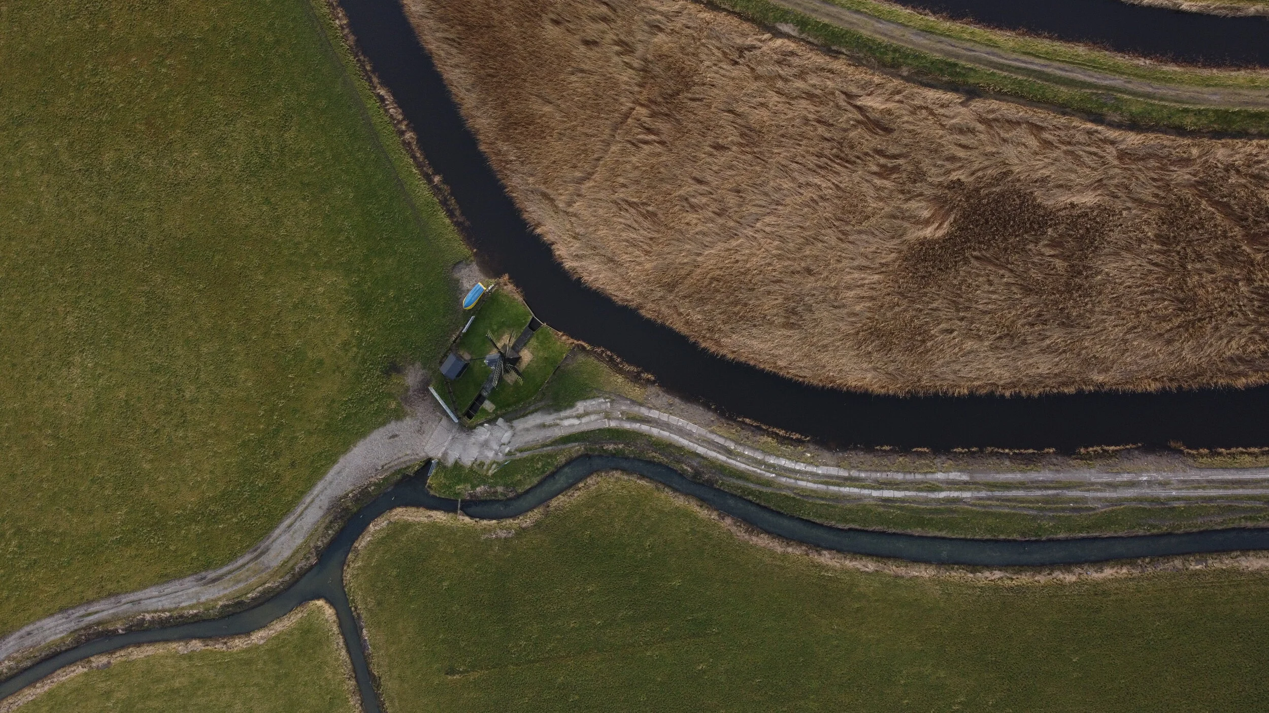 Snapping fish selfies