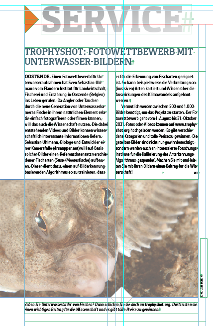 Bildschirmfoto 2021-08-20 um 09.40.28.png