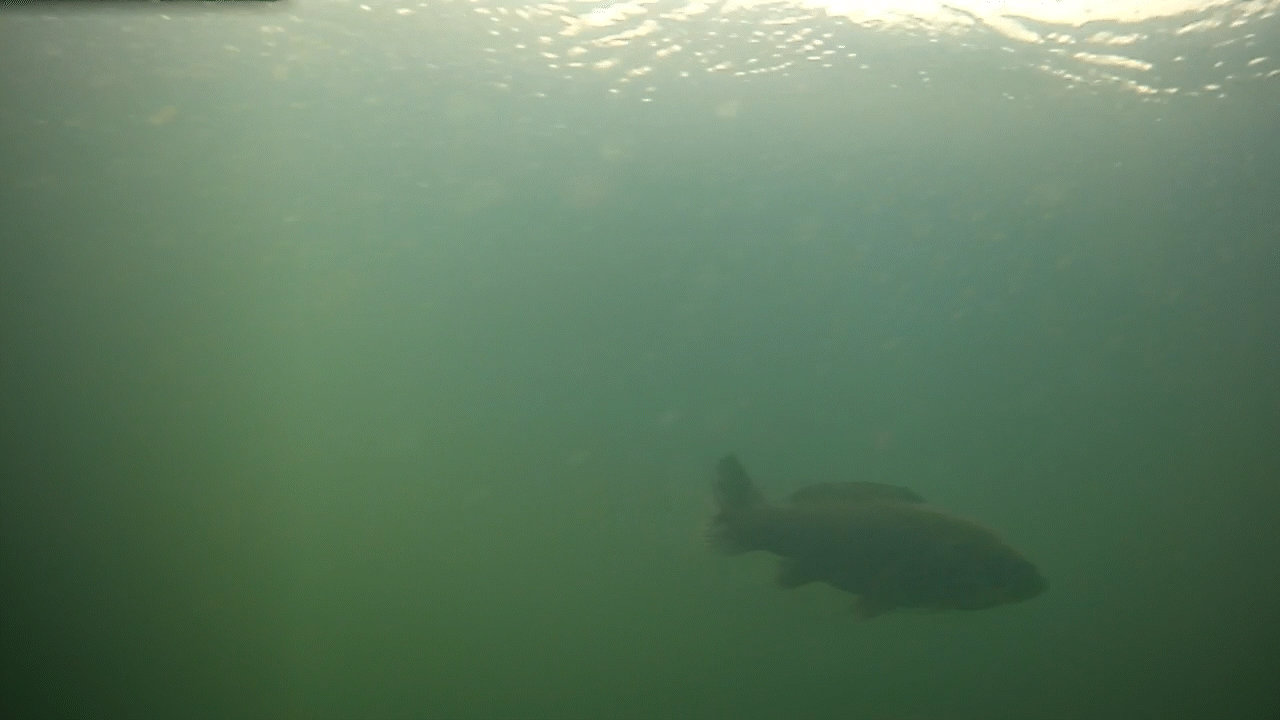 The short bliss of camera angling....on a clear day