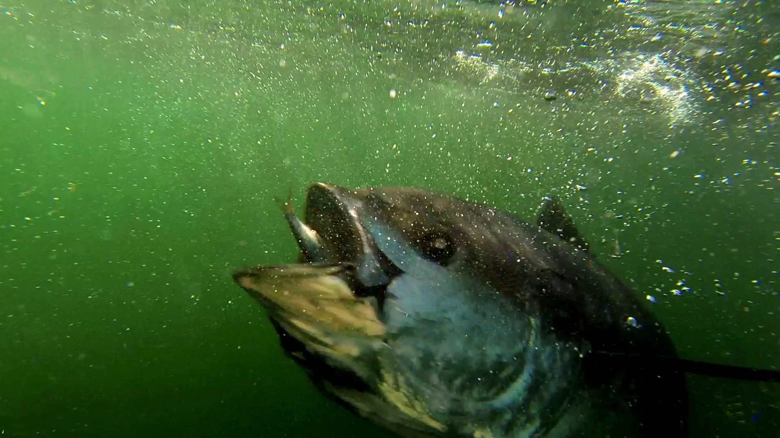 And the winner is...........